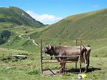 Salita al Rifugio Mirtillo da Foppolo-Passo della Croce - 19 agosto 2008 - FOTOGALLERY